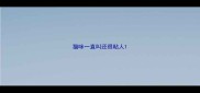 猫咪一直叫还很粘人