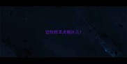 边牧牧羊犬相片儿