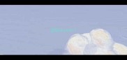 边牧deyachi
