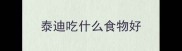 泰迪吃什么食物好