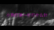 小狗打第一针打什么针