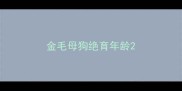 金毛母狗绝育年龄