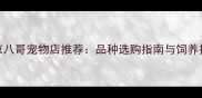 北京八哥宠物店推荐品种选购指南与饲养技巧