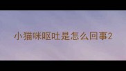 小猫咪呕吐是怎么回事