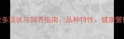 中国拉布拉多现状与饲养指南品种特性健康管理与选购全