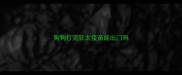 狗狗打完狂太疫苗能出门吗