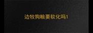 边牧狗粮要软化吗