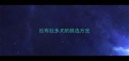 拉布拉多犬的挑选方法