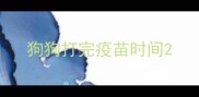 狗狗打完疫苗时间