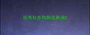 拉布拉多狗狗流鼻涕
