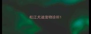 松江犬迪宠物诊所