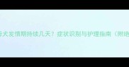 拉布拉多母犬发情期持续几天症状识别与护理指南附绝育建议