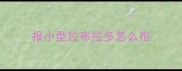 报小型拉布拉多怎么抱