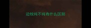 边牧纯不纯有什么区别