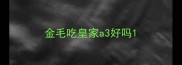 金毛吃皇家a3好吗