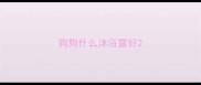 狗狗什么沐浴露好