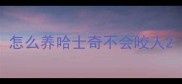 怎么养哈士奇不会咬人