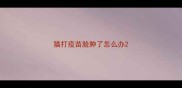 猫打疫苗脸肿了怎么办