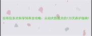 拉布拉多犬科学饲养全攻略从幼犬到成犬的120天养护指南