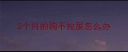 2个月的狗不拉屎怎么办