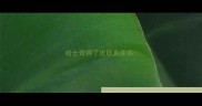 哈士奇得了皮肤真菌病