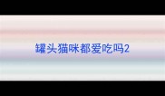 罐头猫咪都爱吃吗