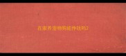 在家养宠物狗能挣钱吗