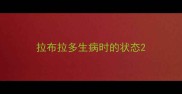 拉布拉多生病时的状态