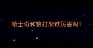 哈士奇和狼打架谁厉害吗