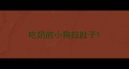 吃奶的小狗拉肚子