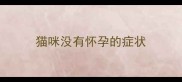 猫咪没有怀孕的症状