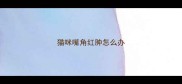 猫咪嘴角红肿怎么办