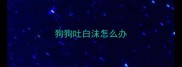 狗狗吐白沫怎么办