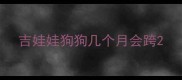 吉娃娃狗狗几个月会跨