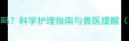 猫咪感冒能自愈吗科学护理指南与兽医提醒附症状自查表