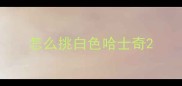 怎么挑白色哈士奇