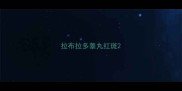 拉布拉多睾丸红斑