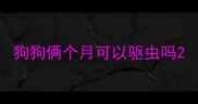 狗狗俩个月可以驱虫吗
