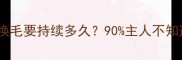 边牧换毛期全攻略换毛要持续多久90主人不知道的护理技巧大公开