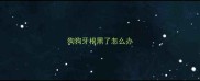 狗狗牙根黑了怎么办