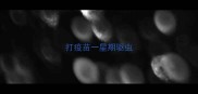 打疫苗一星期驱虫