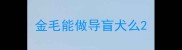 金毛能做导盲犬么