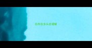拉布拉多头皮褶皱