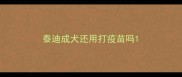 泰迪成犬还用打疫苗吗
