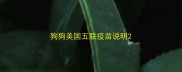 狗狗美国五联疫苗说明