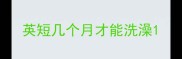 英短几个月才能洗澡