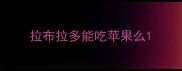 拉布拉多能吃苹果么