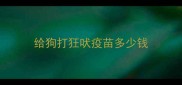 给狗打狂吠疫苗多少钱