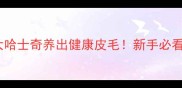 1个月大哈士奇养出健康皮毛新手必看全攻略