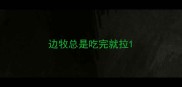 边牧总是吃完就拉